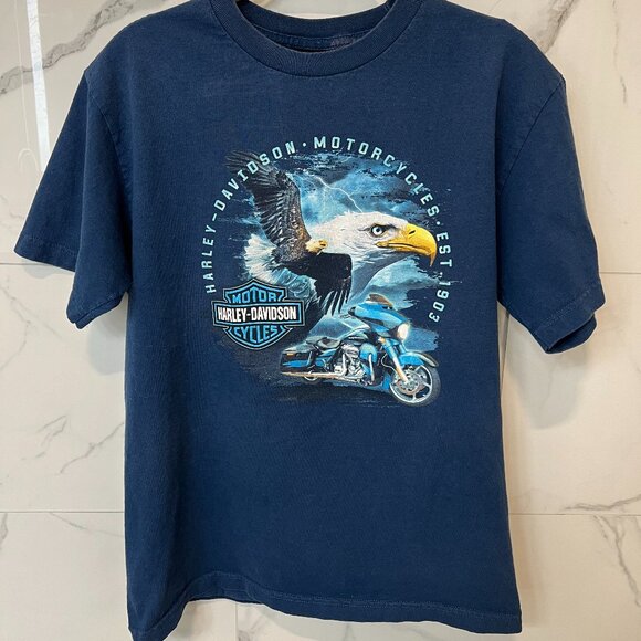 Harley-Davidson, Size: M, Blue, T-Shirt, - Picture 1 of 5